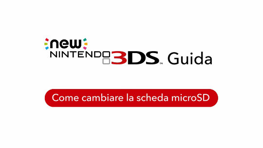 Scheda microSD (New Nintendo 3DS)